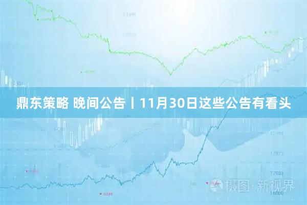 鼎东策略 晚间公告丨11月30日这些公告有看头